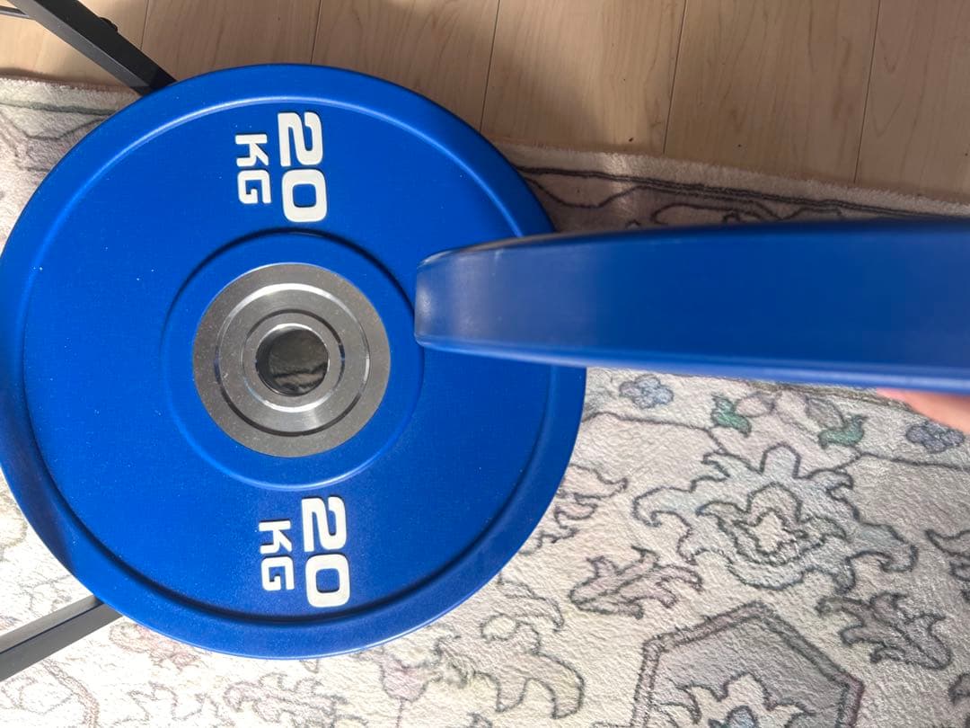 20kg ダンベルプレート 青 2枚セット