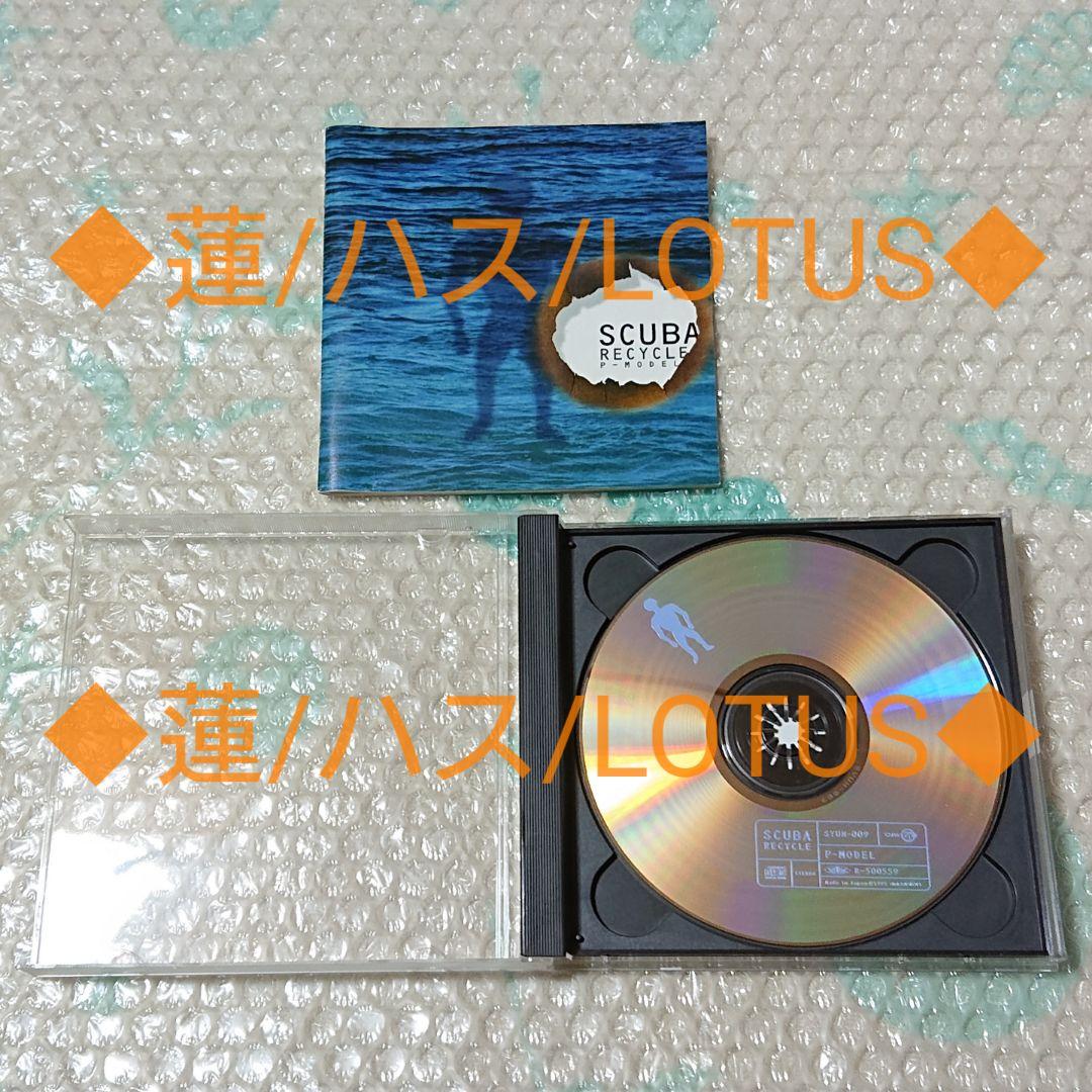 邦楽 P-MODEL/CD/SCUBA RECYCLE