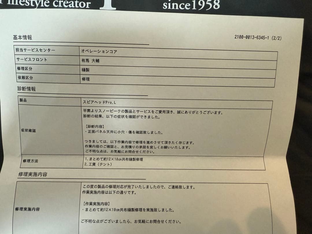  peak スピアヘッド Pro.L(TP-450)