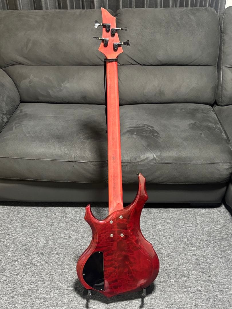 ESP Forest-STD ESP専用ソフトケース付き