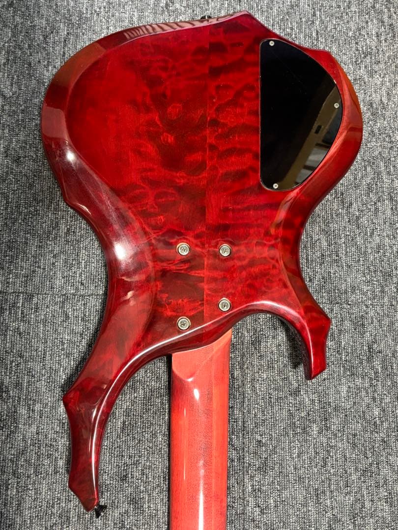 ESP Forest-STD ESP専用ソフトケース付き