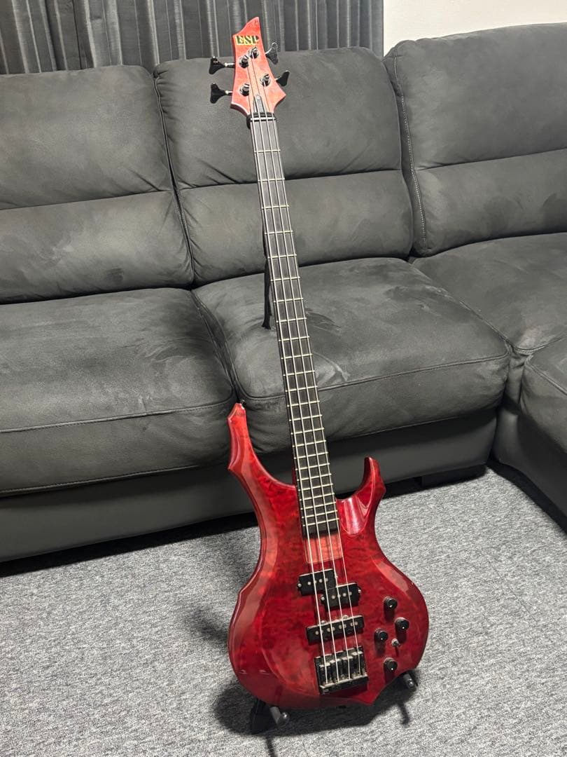 ESP Forest-STD ESP専用ソフトケース付き