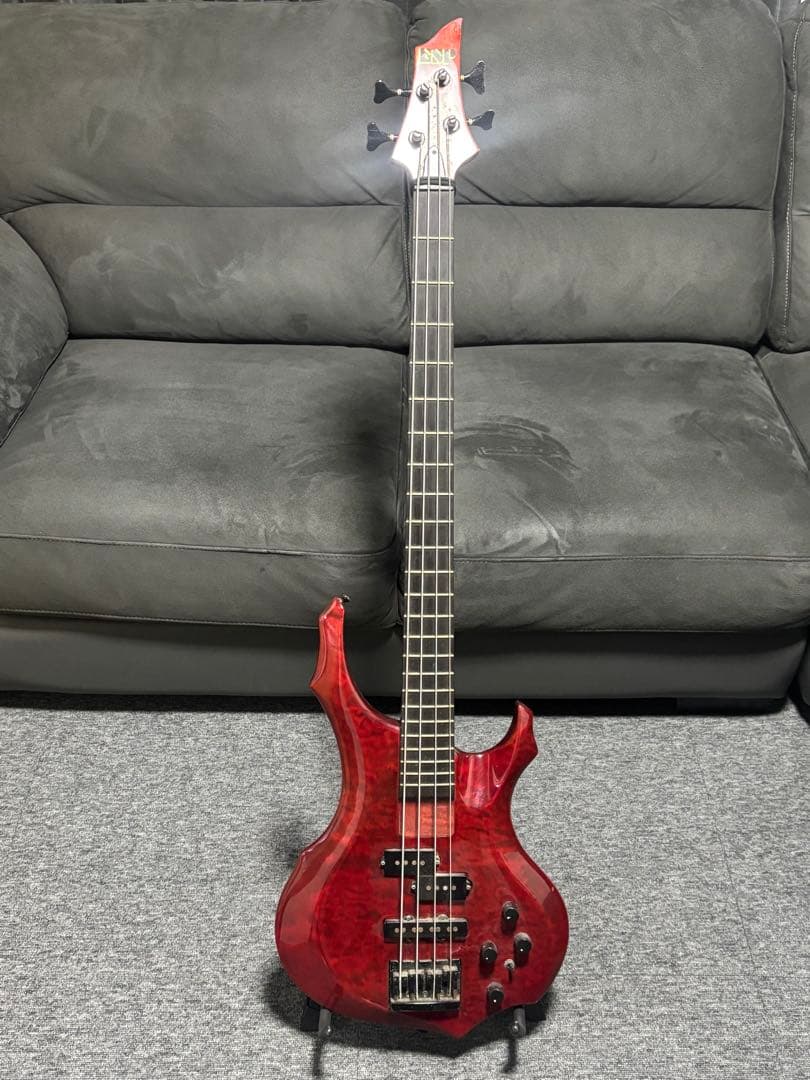 ESP Forest-STD ESP専用ソフトケース付き