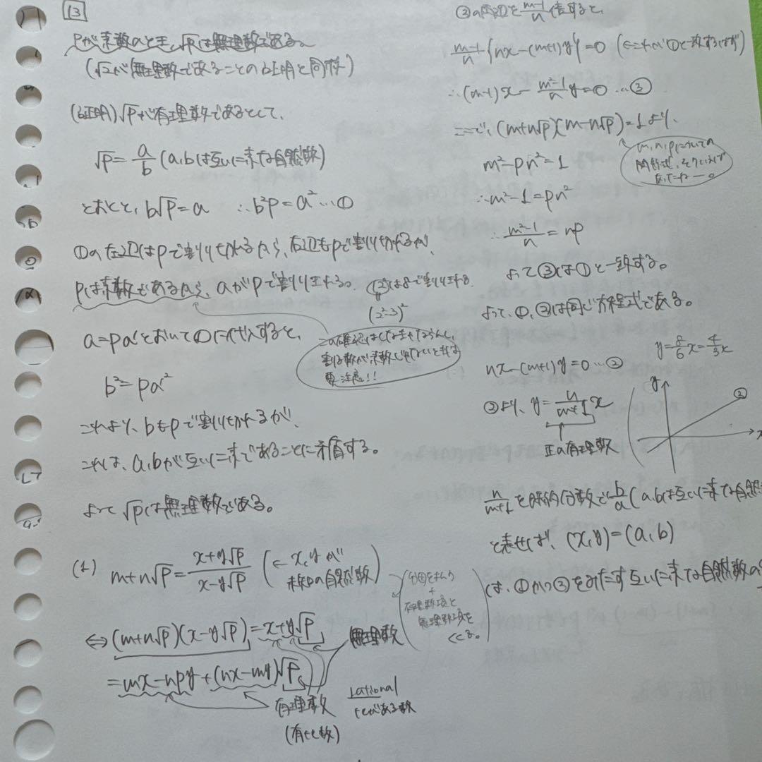 駿台　夏期　東大理系数学　雲K
