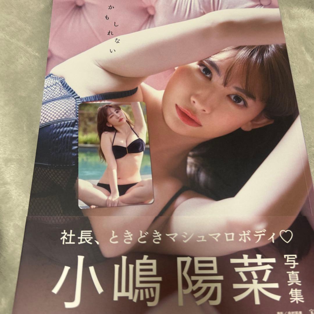 【直筆サイン入り トレカ付】小嶋陽菜 写真集 「かもしれない」 サイン入り