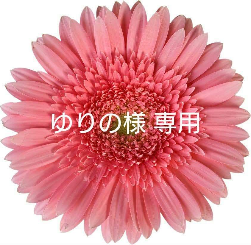 【匿名配送】ゆりの