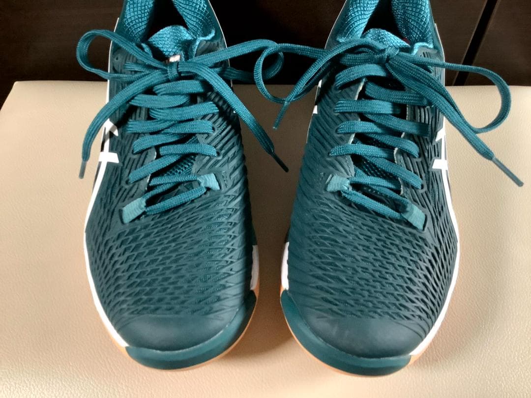 25.0cm アシックス ソリューションスピード FF2 インドア カーペット