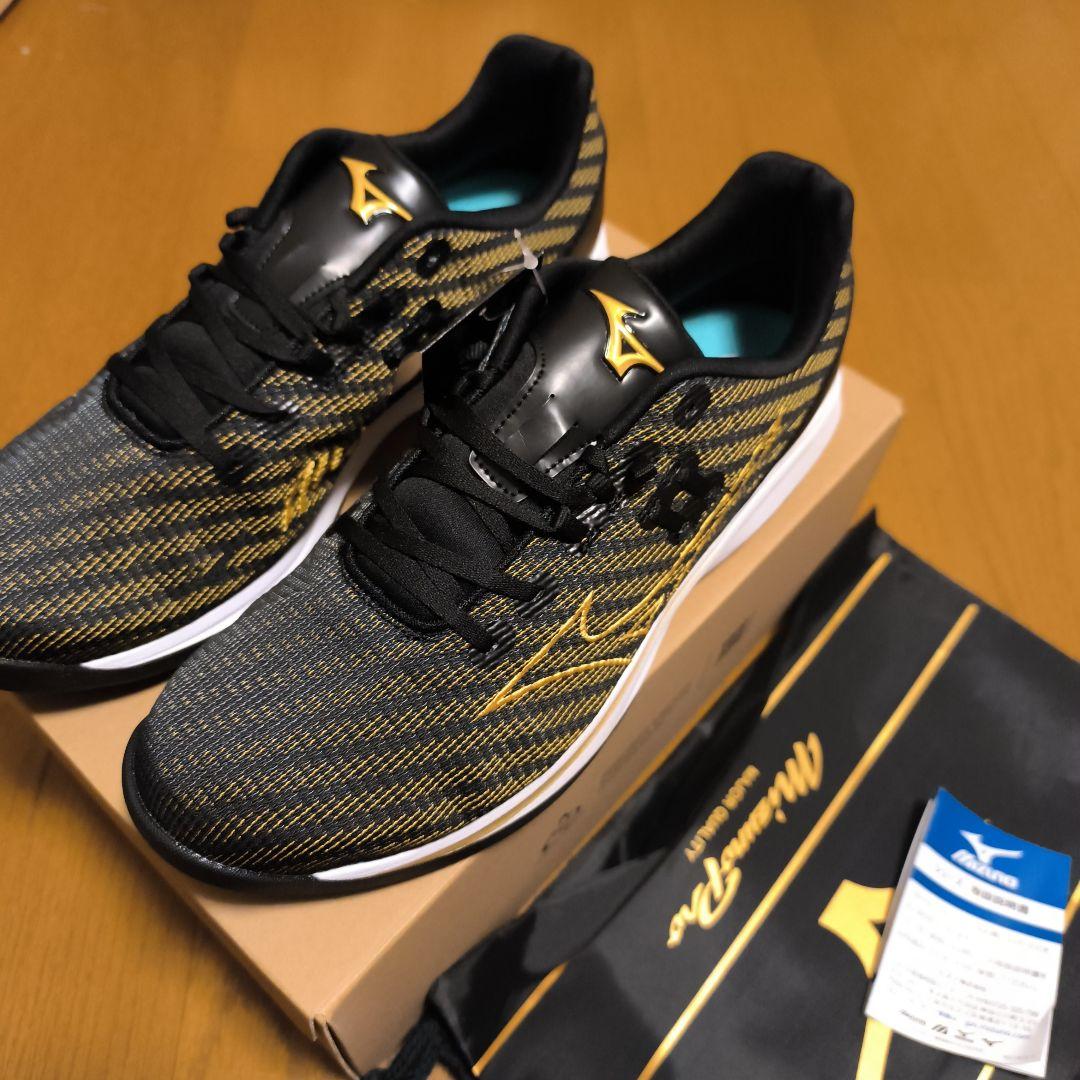 MIZUNO ウエーブ ライトレボラン プロ 28.0cm