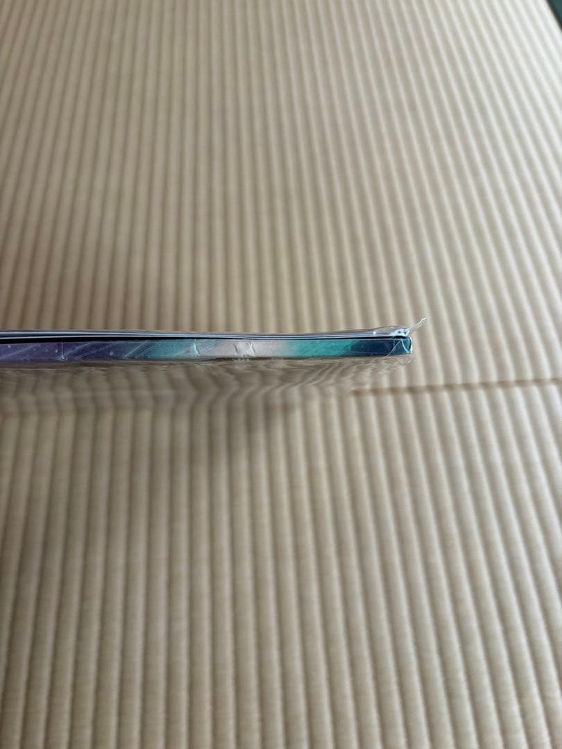 PUNPEE Modern Times レコード LP