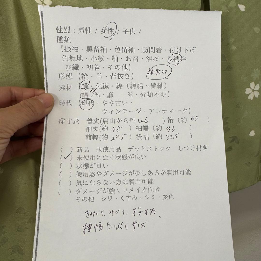 超美品　正絹　長襦袢　袖無双　現代　着物　和装　126裄65　黄緑　桜　ワイド