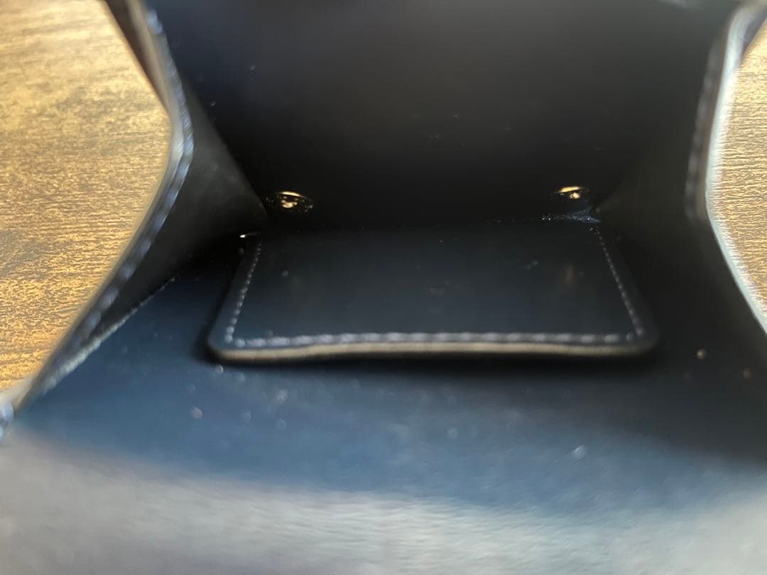 ワイルドスワンズ パーム V2