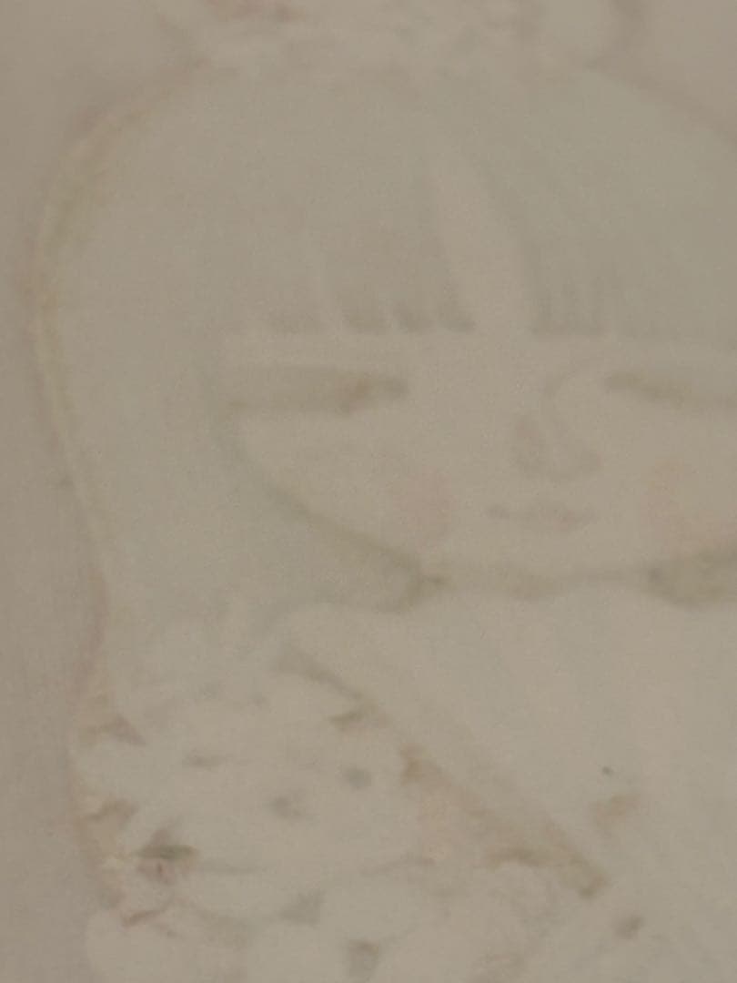 メ*2様 真作保証　池田修三　木版画　「おひなさま」直筆サイン入り　1984年