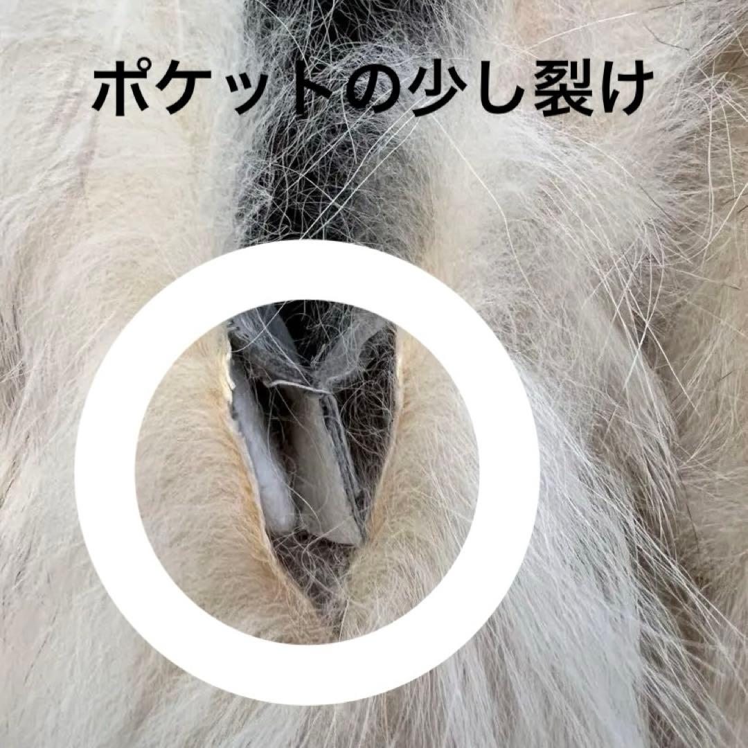 訳あり SAGA FOX 毛皮コート Lサイズ