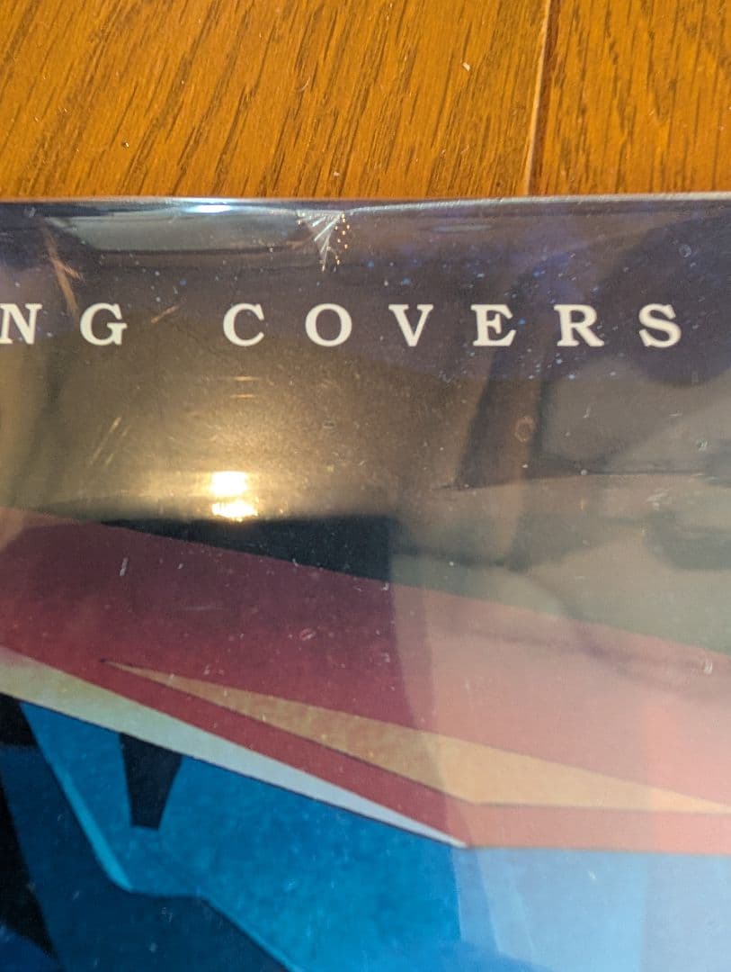 レア　森口博子　GUNDAM SONG COVERS　LPサイズジャケ盤　新品