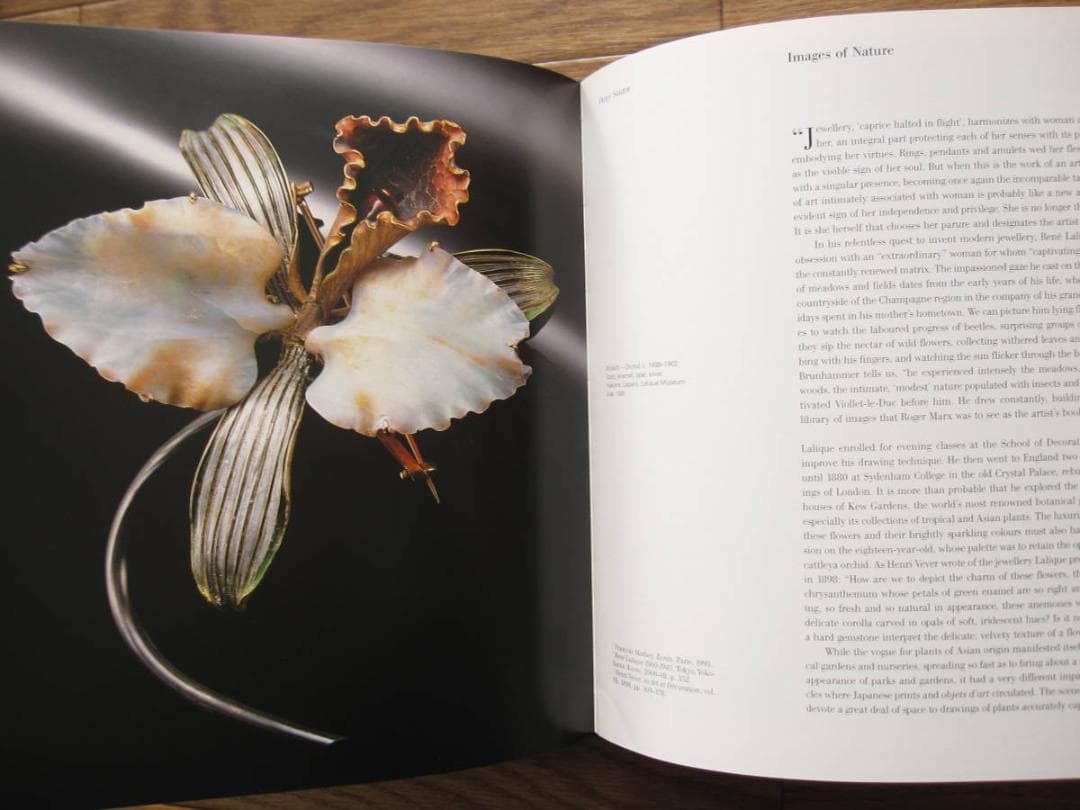 Rene Lalique　Extraordinary Jewellery