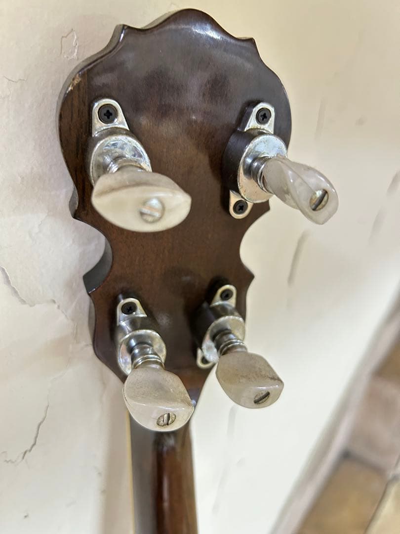 tenesy 5弦 Standard thumb バンジョー　 【手渡しのみ】