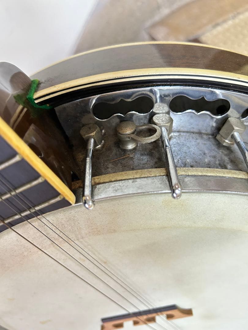 tenesy 5弦 Standard thumb バンジョー　 【手渡しのみ】