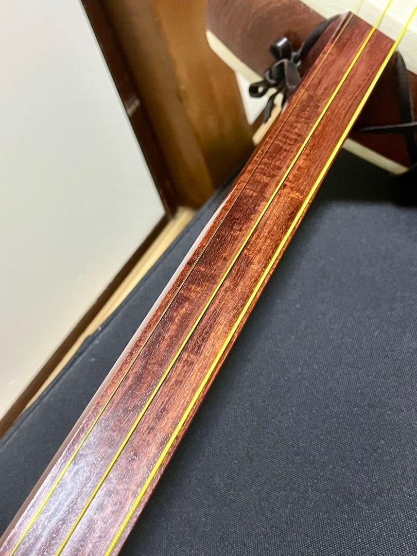 津軽三味線 段違い二本溝 トチ有 本鼈甲撥 軽量ハードケース付き 皮破れ無し