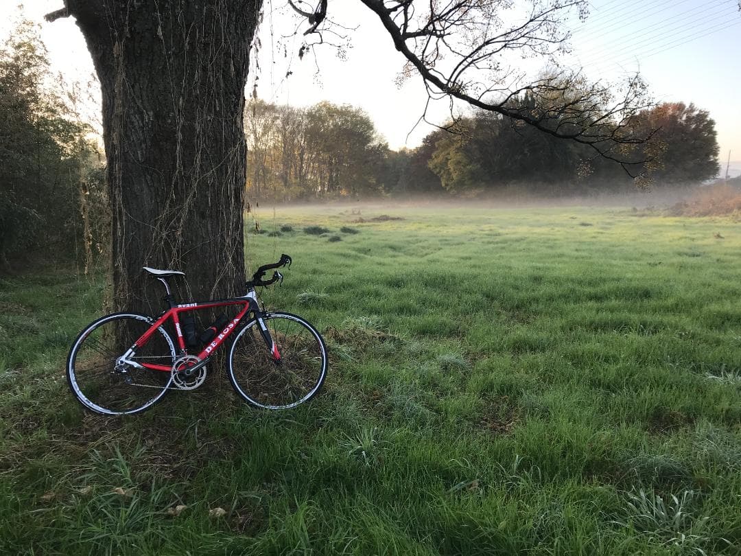 DE ROSA avant 2010 (ROSSOカラー)　ロードバイクフレーム