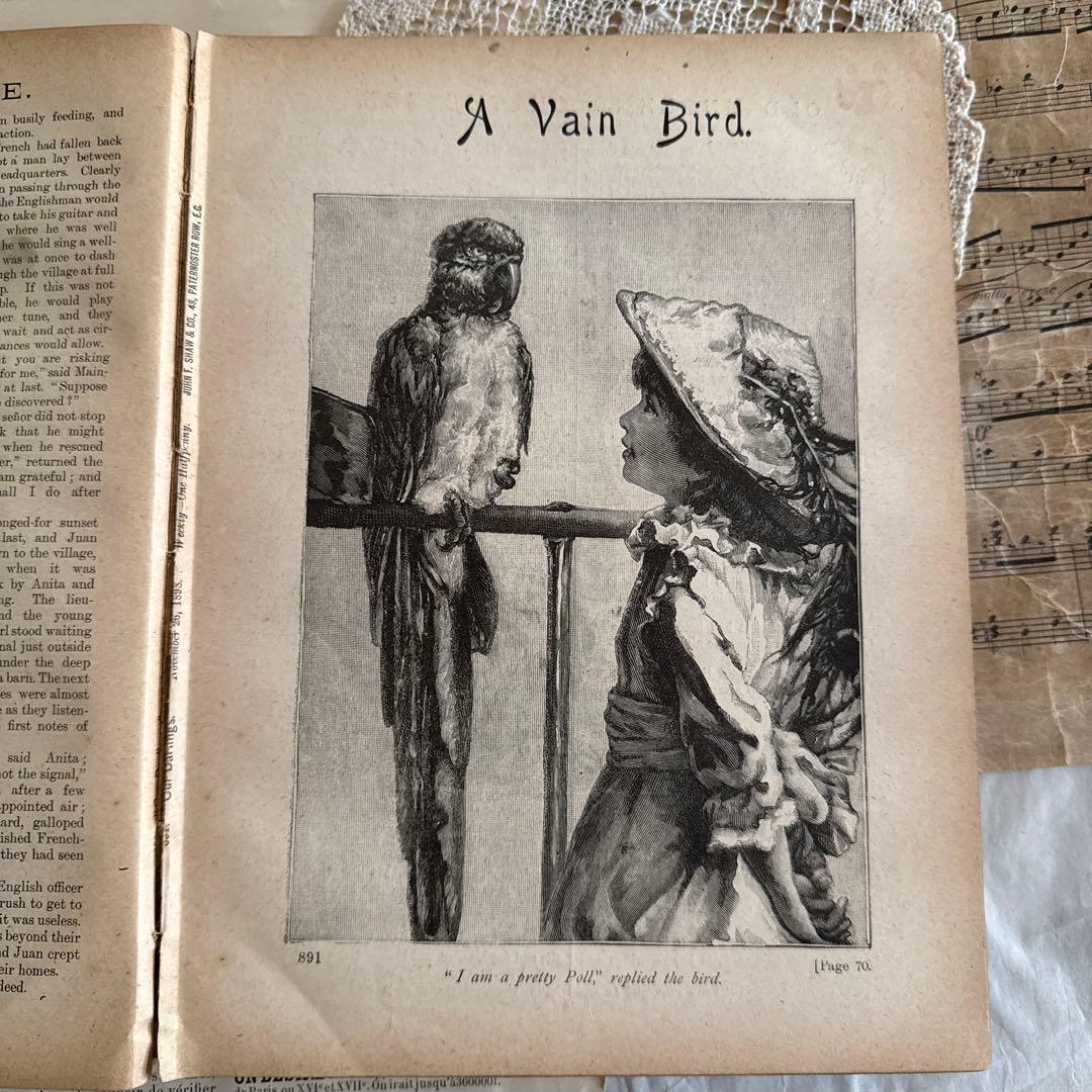 稀少1901年アンティーク美しい挿絵イギリス絵本　洋書ジャンクジャーナル古書