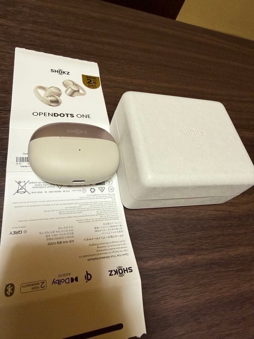 イヤホン Shokz Open dots one