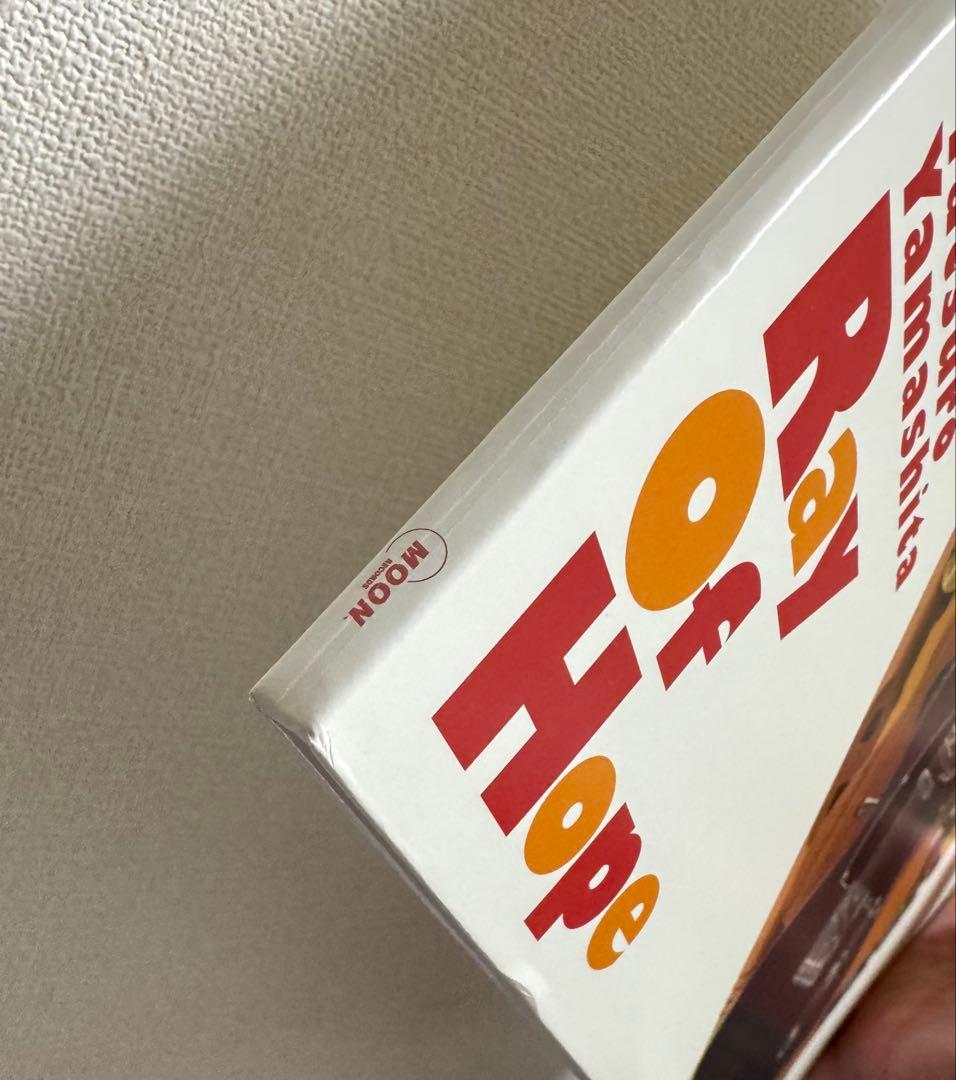 山下達郎 Ray Of Hope レコード