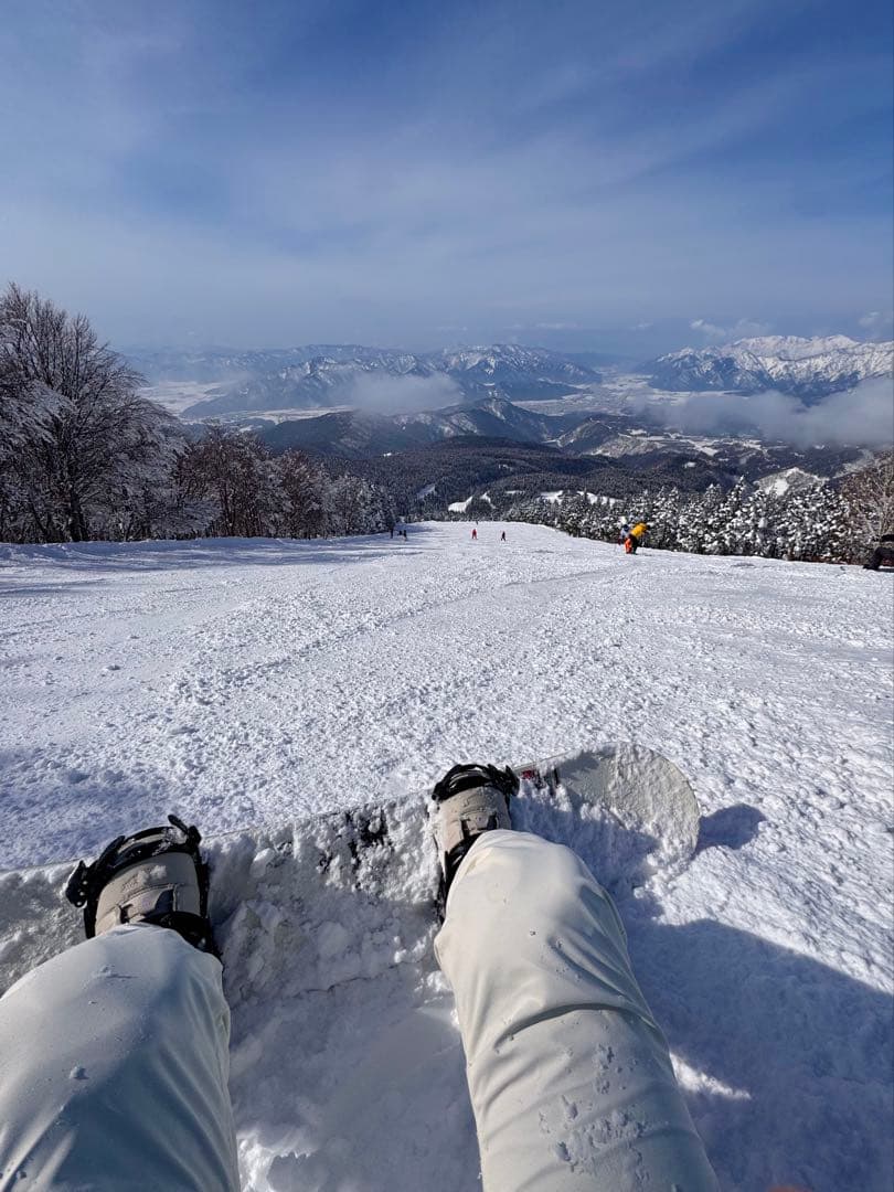 Salomon Ivy BOA SJ スノーボードブーツ ベージュ