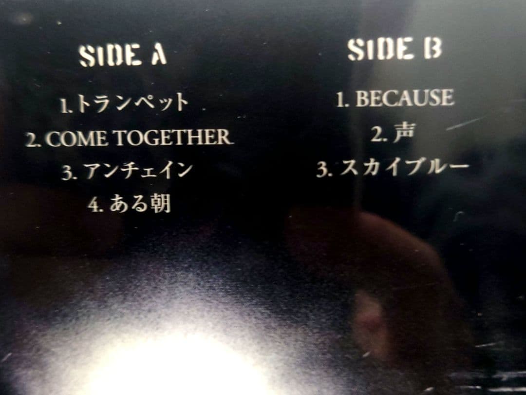 The Birthday / GO WEST, YOUNGMAN・重量盤3LP