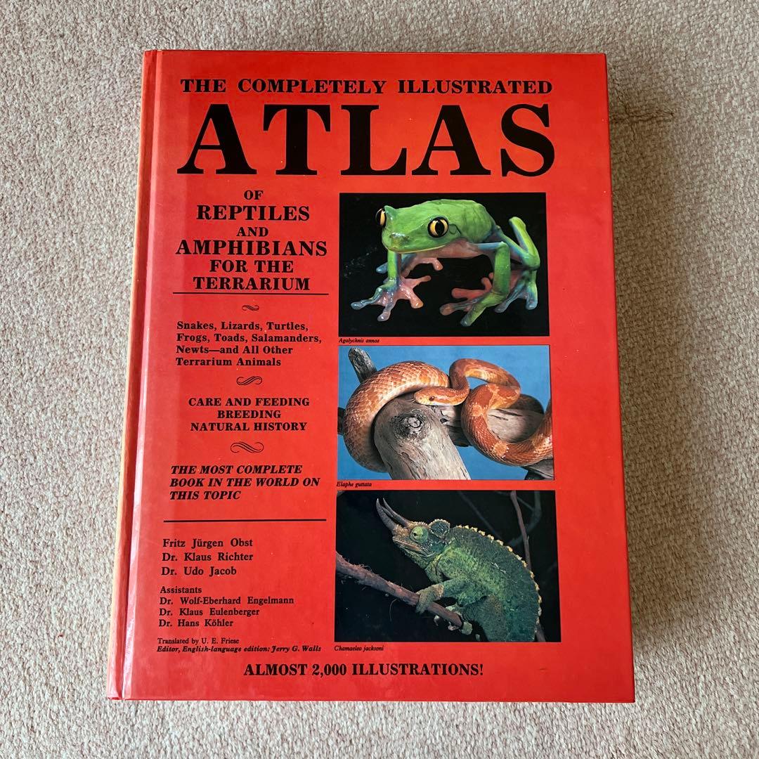 洋書　爬虫類・両生類　アトラス　大型本