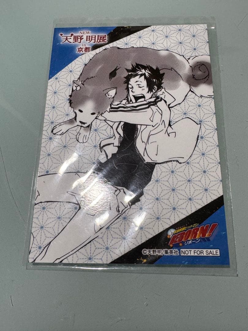 天野明展 京都 特典 山本武