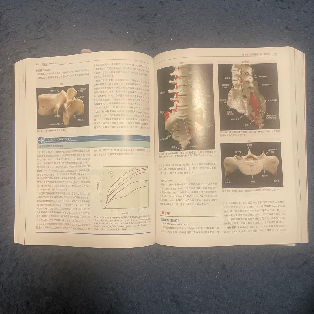 【やや美品】筋骨格系のキネシオロジー 第三版【シリアル未使用】