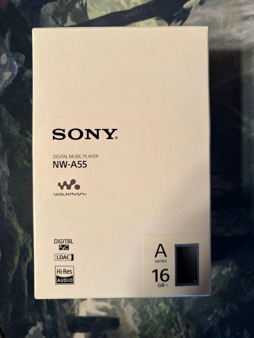 箱付きSONY ウォークマン NW-A55 16GB