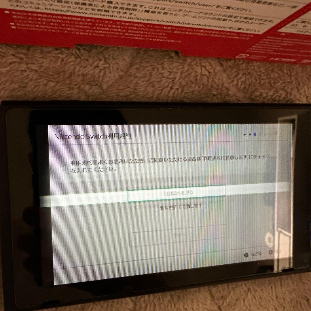 Nintendo Switch 本体 コントローラーなし　画面乱れあり