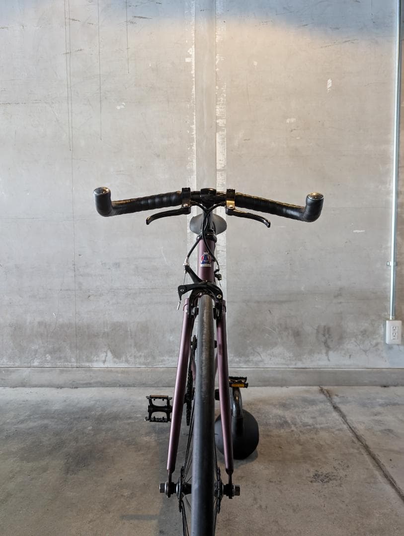 Fuji Feather シングルスピード バイク サイズ52 マットワイン