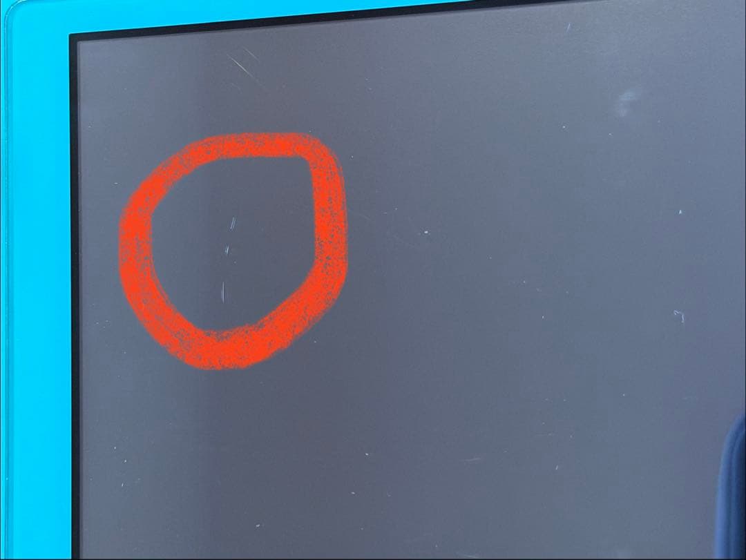 Nintendo Switch Lite ターコイズ　本体 充電器付き