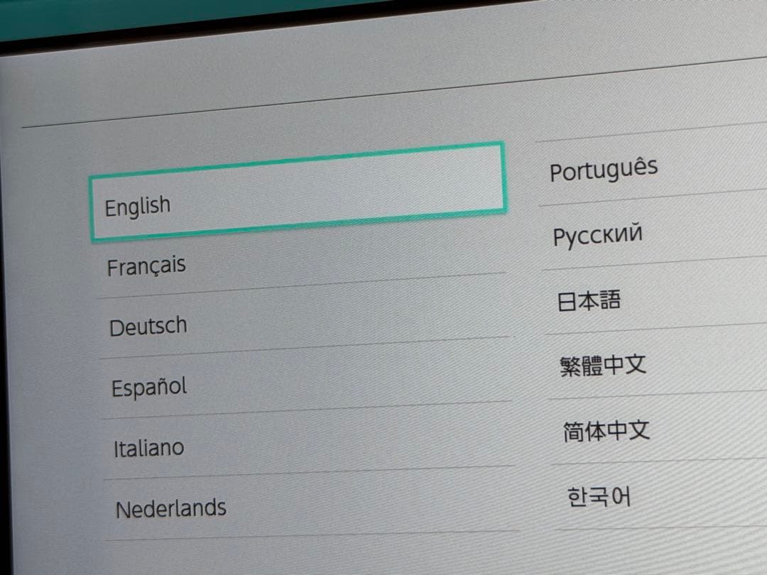 Nintendo Switch Lite ターコイズ　本体 充電器付き