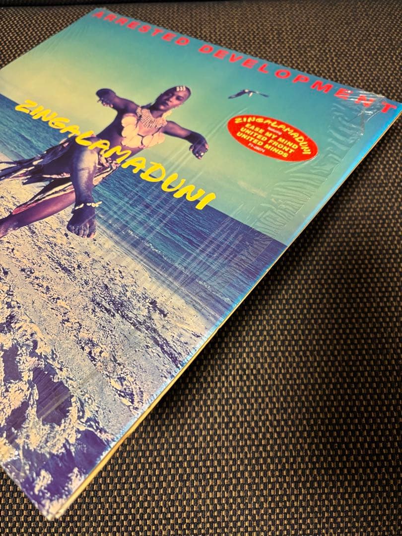 ARRESTED DEVELOPMENT ZINGALAMADUNI 2LP美品