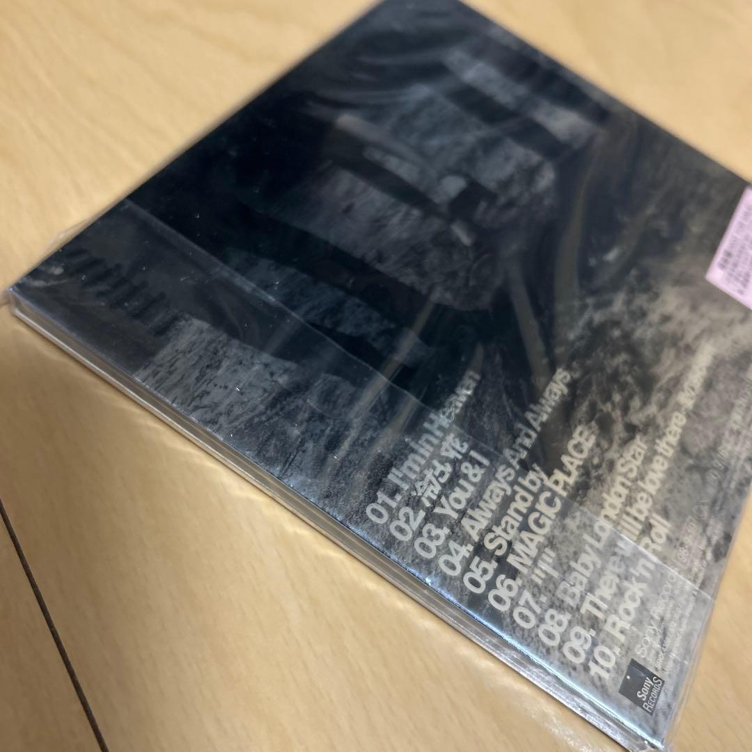 【即購入ok!!】ブリグリ『the brilliant green』新品未開封