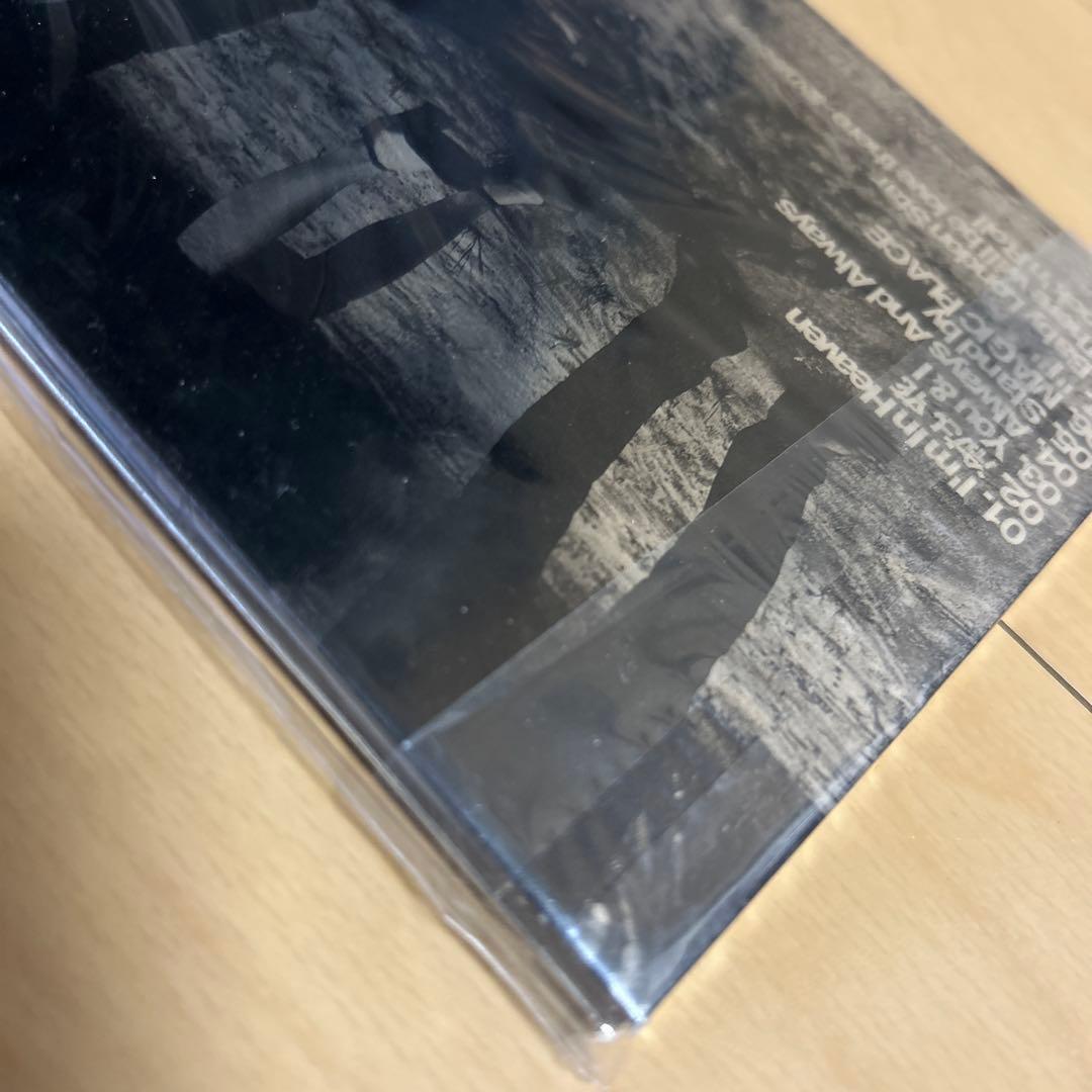 【即購入ok!!】ブリグリ『the brilliant green』新品未開封