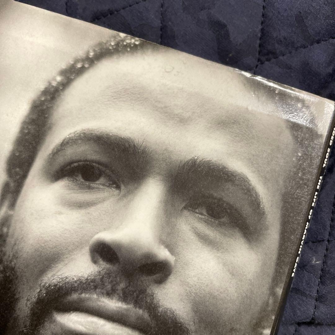 絶版本「マーヴィン・ゲイ物語 ・引き裂かれたソウル」