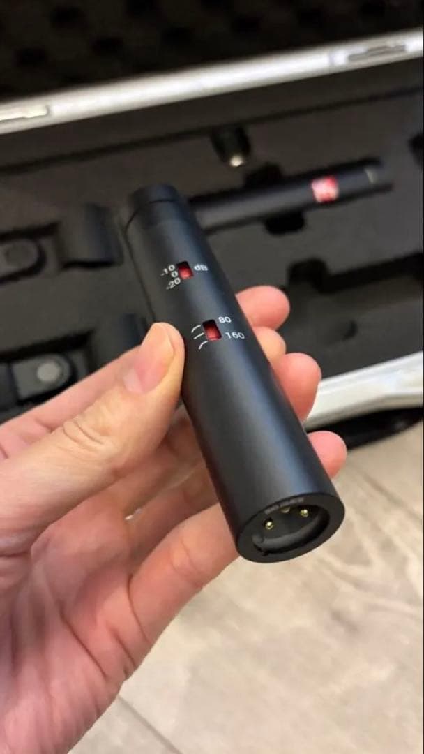 SE8 SE Electronics コンデンサーマイク 2本セット　中古美品