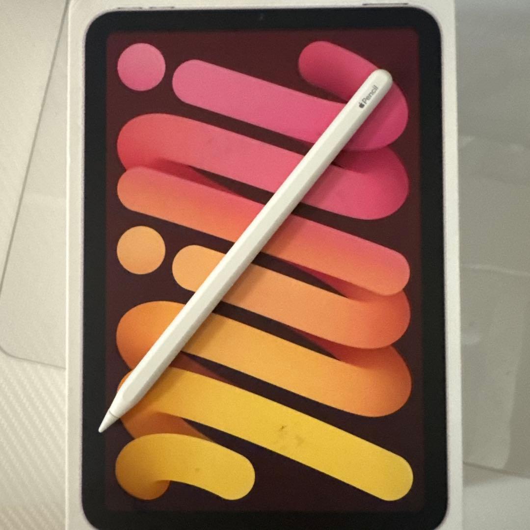 極美品 iPad mini セルラー5G対応 256GB 純正ペンセット100%
