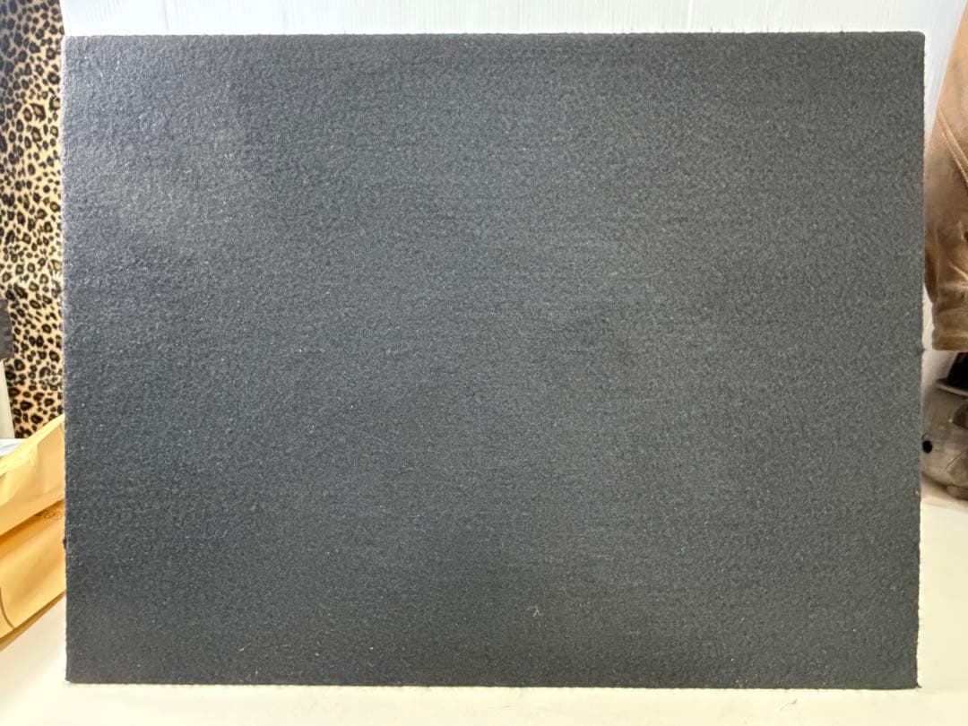 PIONEER TS-WX300A ウーファー