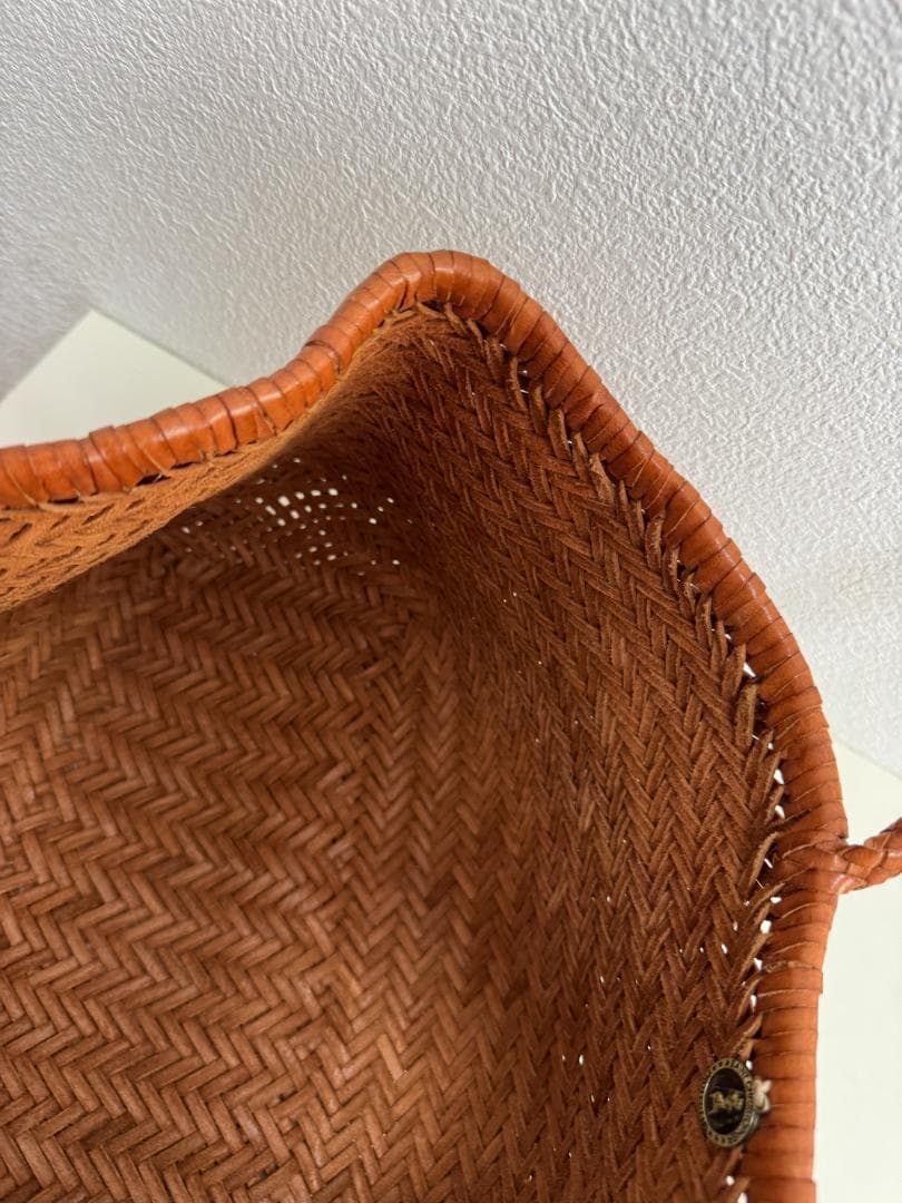 ドラゴン フュージョン Dragon Diffusion メッシュレザーバッグ