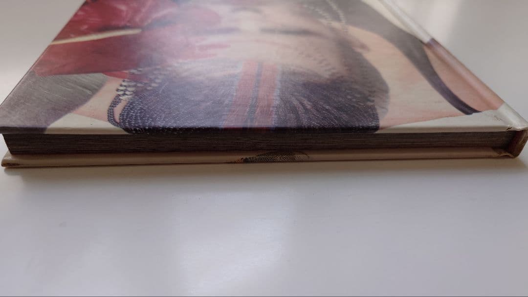 洋書 Fashion 2000 by Stefan Gan