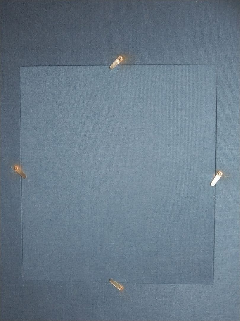 和風 鳥と植物の屏風