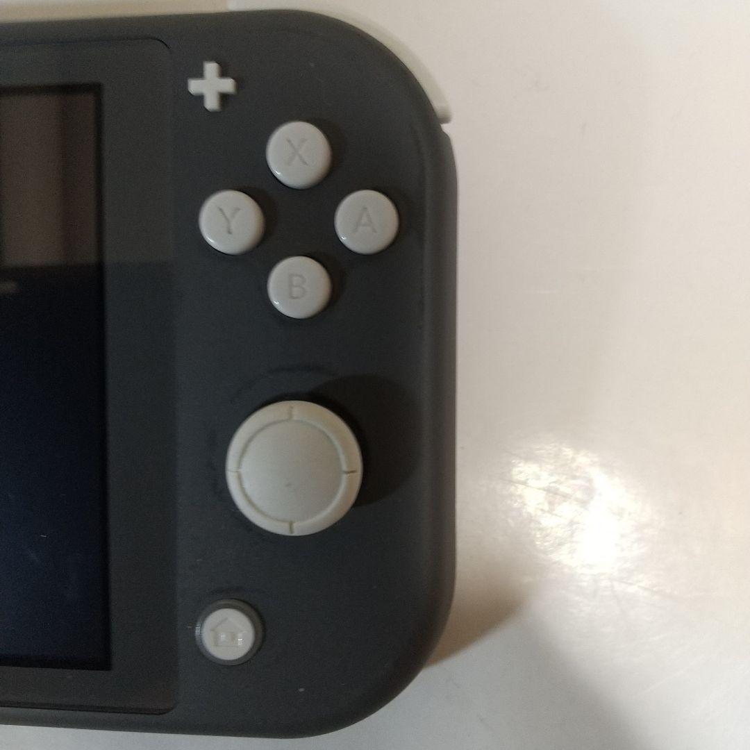 Nintendo Switch Lite グレー 本体＋純正充電器＋保護＋収納