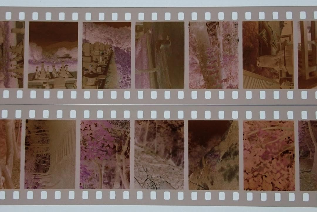 オリンパスペンD ハーフサイズカメラ OLYMPUS PEN D 実写済