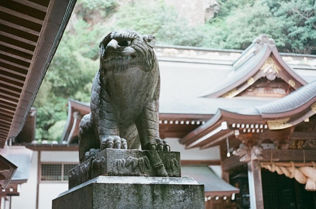 オリンパスペンD ハーフサイズカメラ OLYMPUS PEN D 実写済