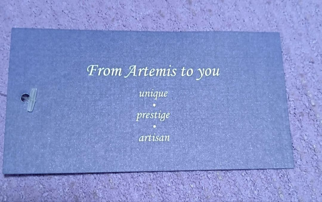 Artemis アルテミス ボートネック グラデーションレオタード Мサイズ